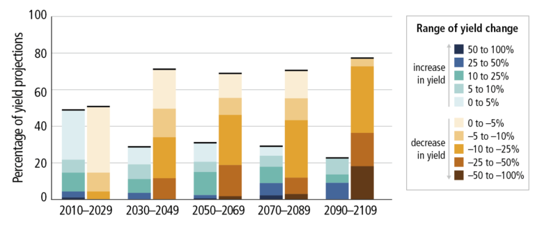 Agricultural yields will decline without climate adaptation measures.