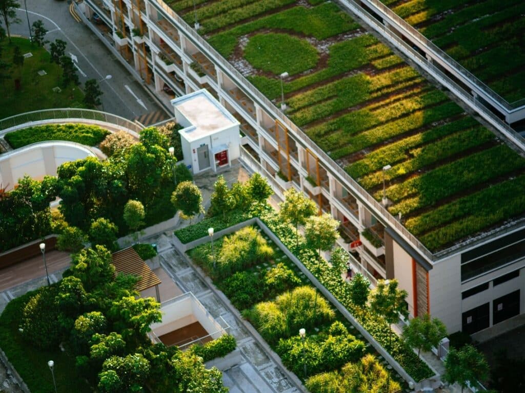 Green roofs in Basel, Switzerland are an example of a climate adaptation strategy.