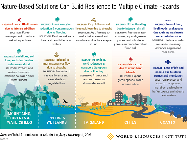 Nature based solutions for climate adaptation.