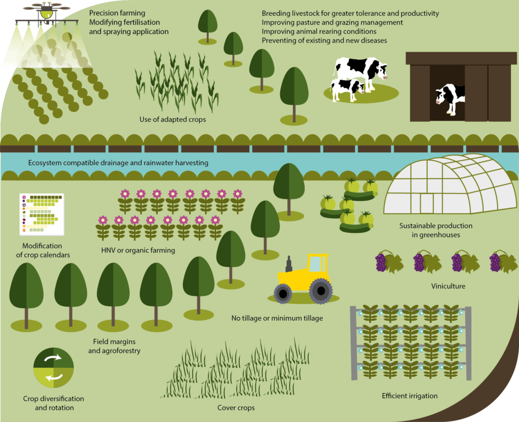 Climate Change Adaptation for Agriculture