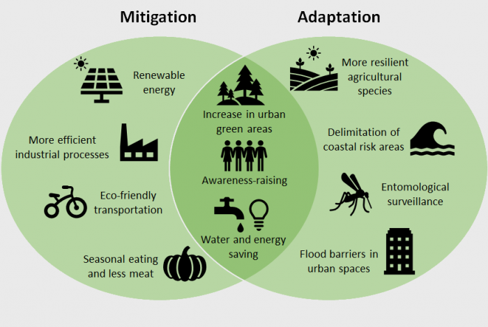 Cliamte change adaptation vs mitigation actions