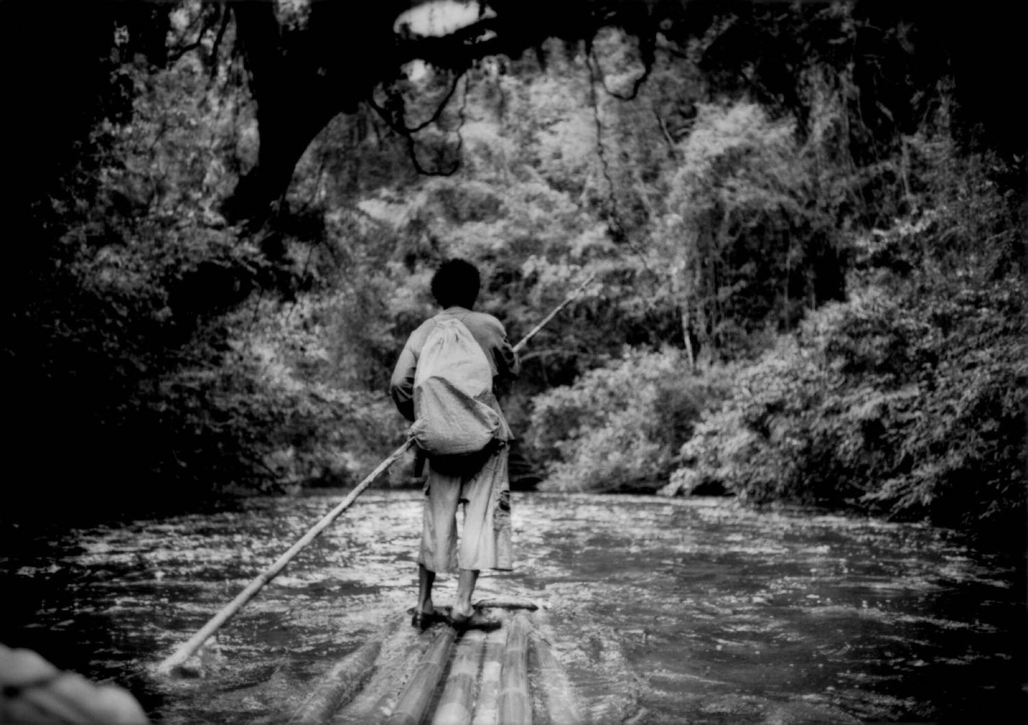 Deforestation in Malaysia and the Fading Lives of Its Indigenous Peoples