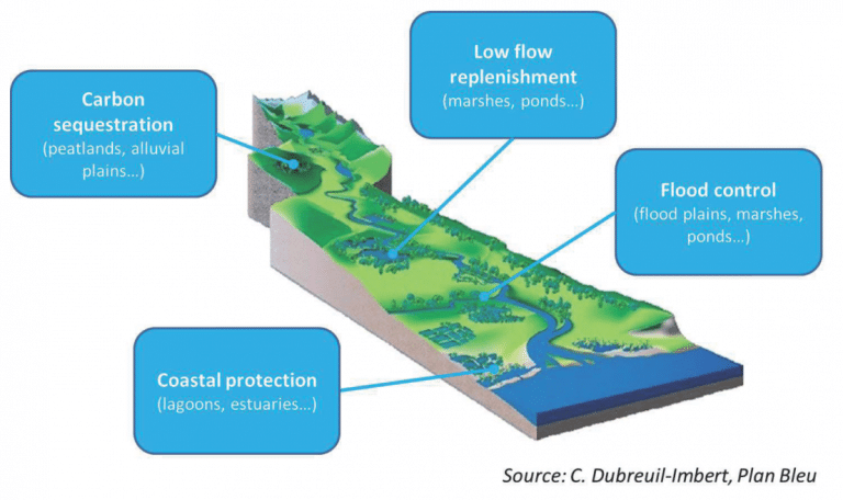 Wetland remedediation are effective climate adaptation projects that provide several benefits.