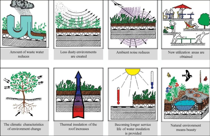 Green roof technologies have several benefits for climate change adaptation.