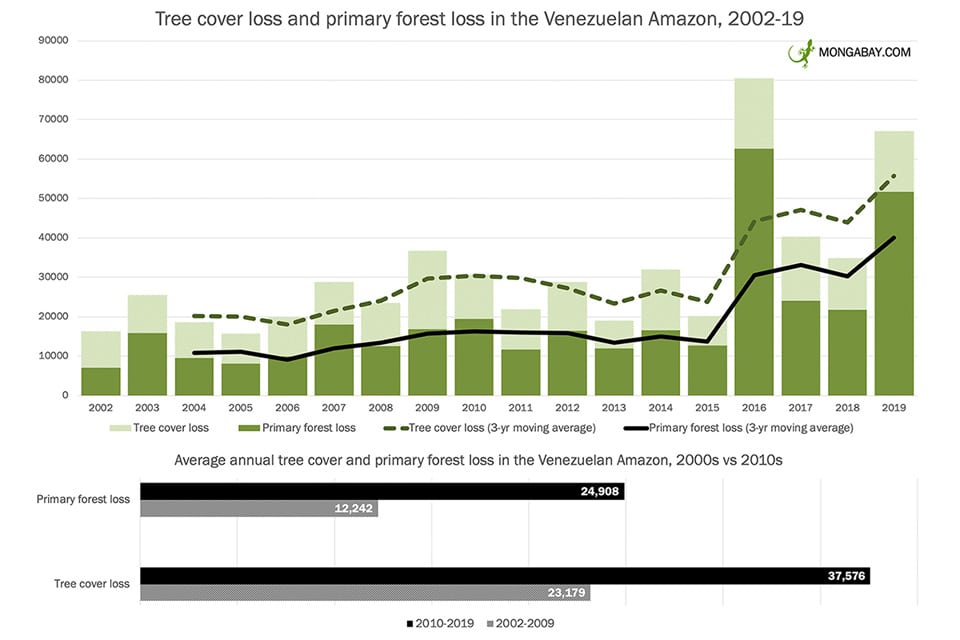 Venezeluen Amazon deforestation rates 2002 to 2019,