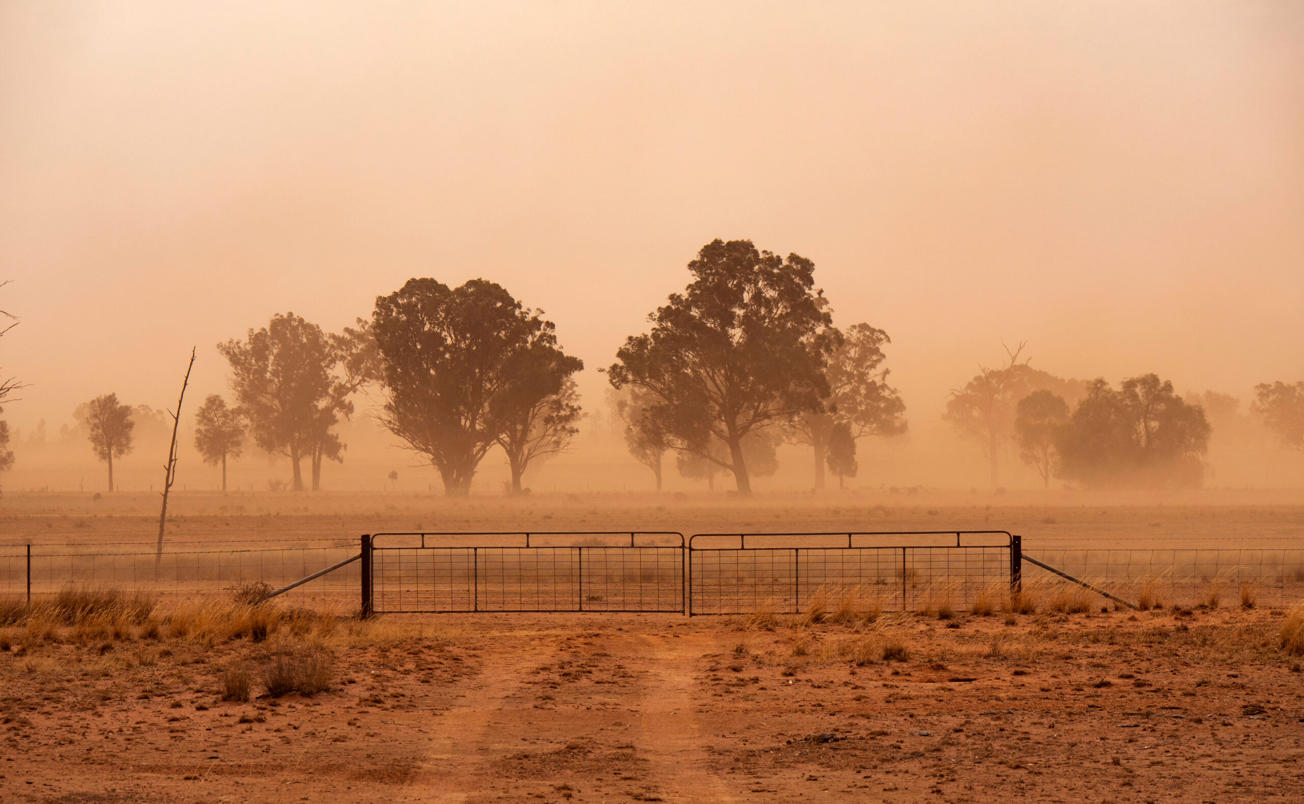 The Extreme Weather Events That Shook the World: New WMO Report