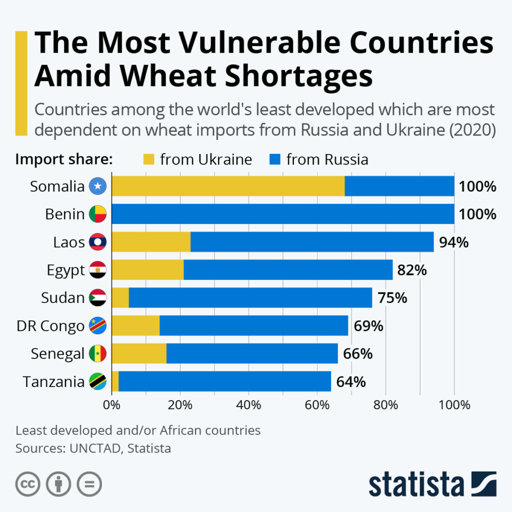 Countries vulnerable to Ukraine grain shortage.