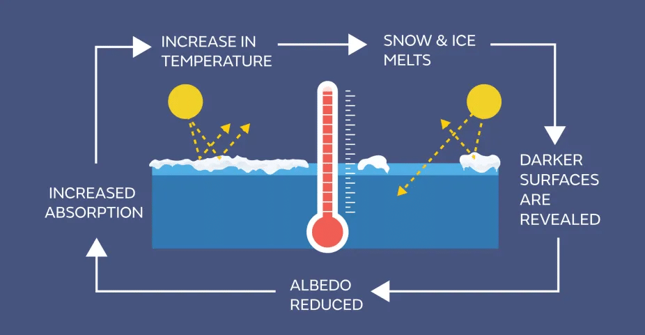 Arctic amlpification is a major reason for rising sea levels, which drives the need for climate change adaptation.