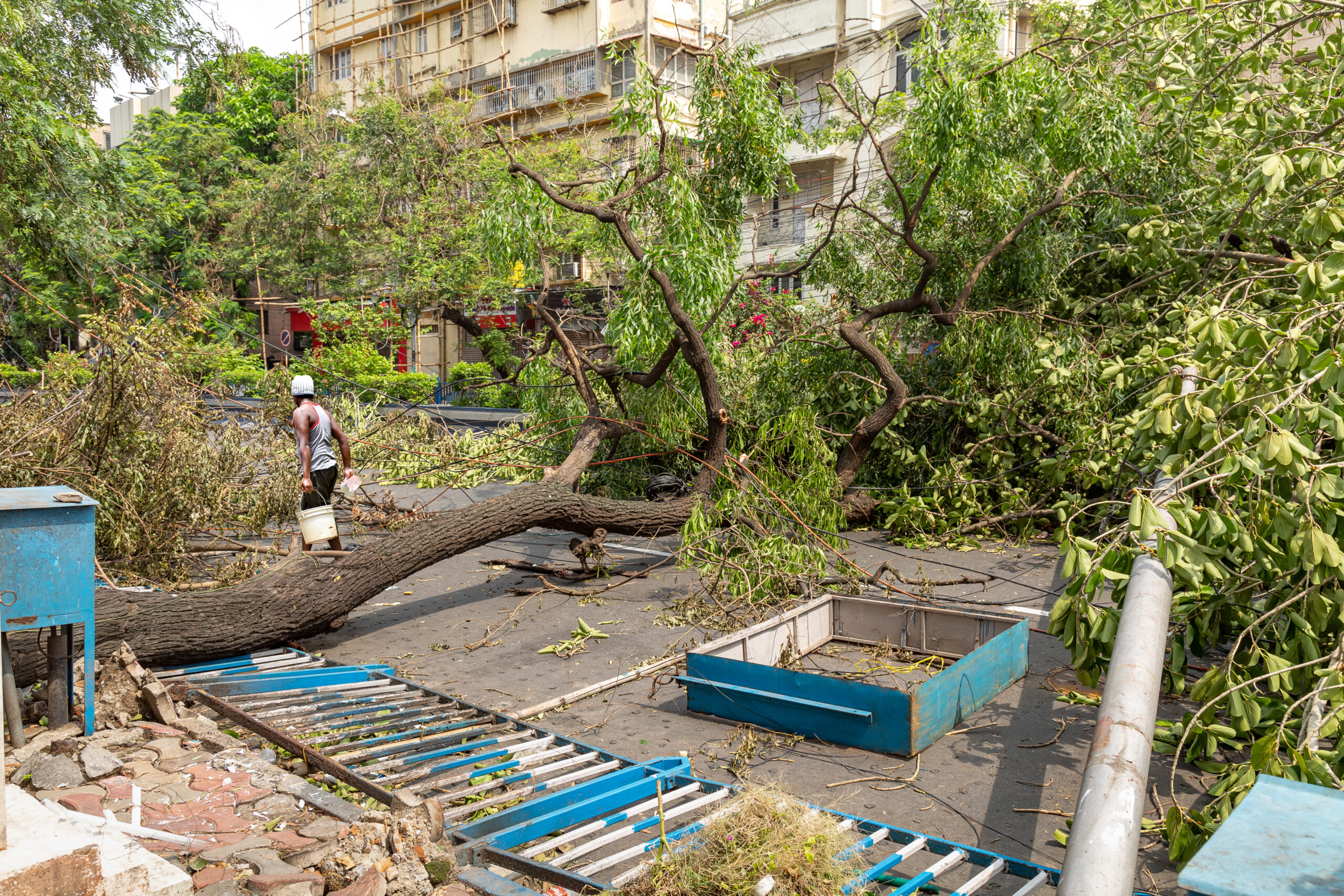 Climate Change Impacts on Typhoon Season