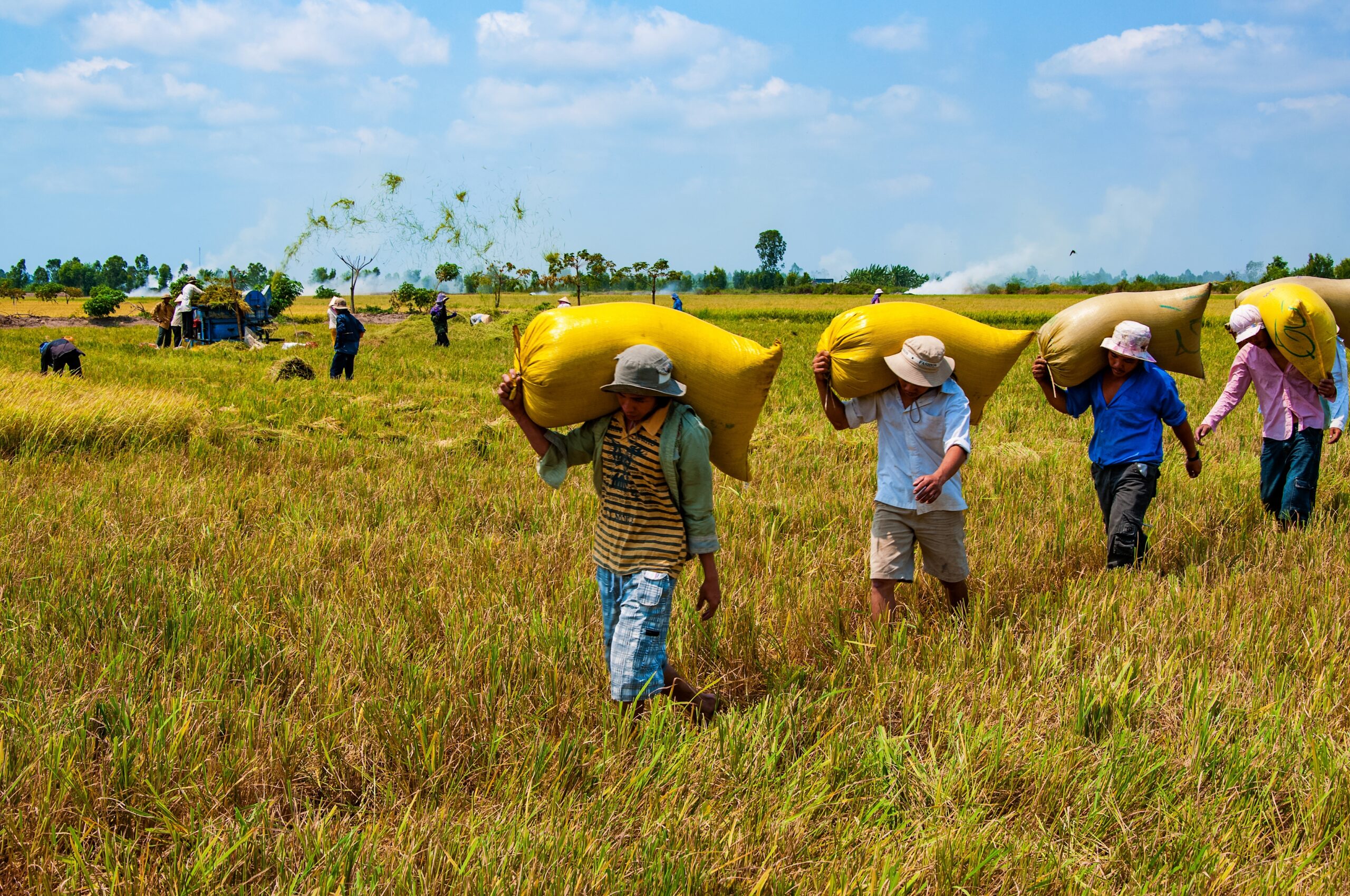 climate change adaptation agriculture