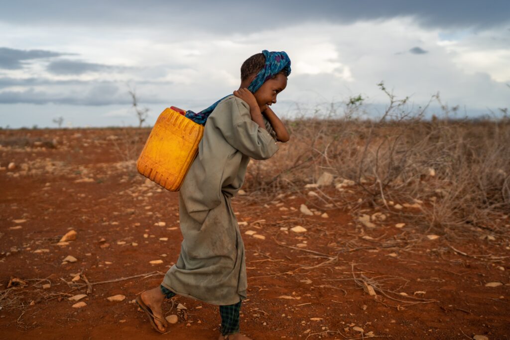 Drought in North Africa Hits Farmers as Climate Change Impacts Bite