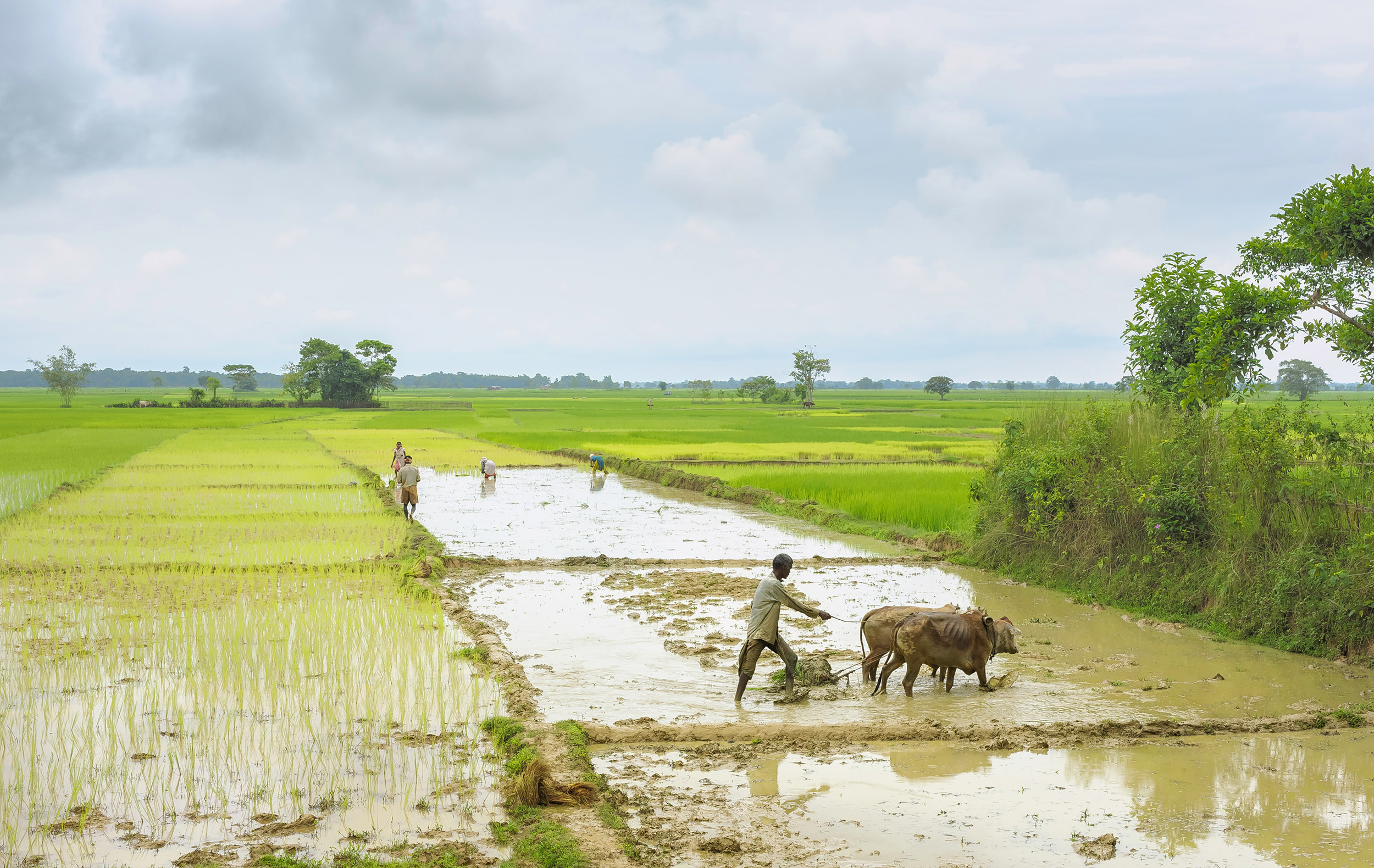 Asian Monsoon is Transforming Due to Climate Change and Pollution