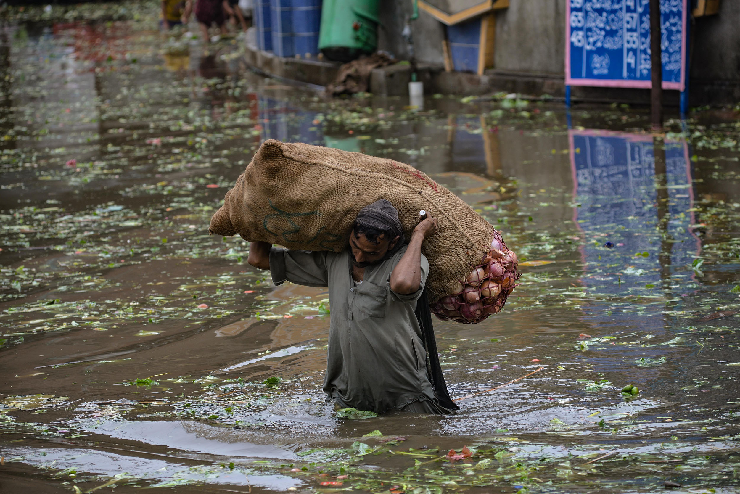 Impacts of Climate Change