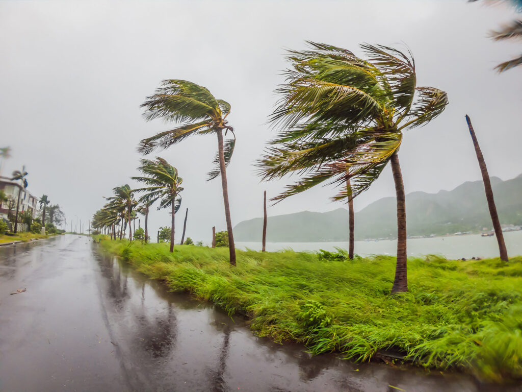 Pacific Cyclone Season: Could a Loss and Damage Fund Help?