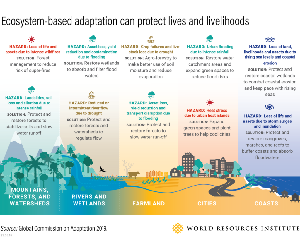 The Importance of Ecosystem-Based Adaptation, Source - WRI