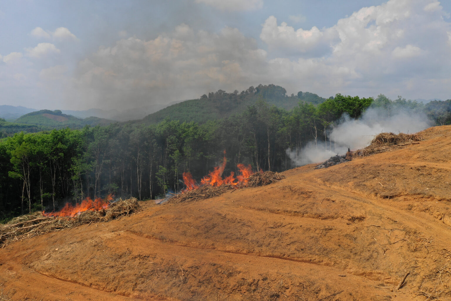 Environmental Issues in Indonesia