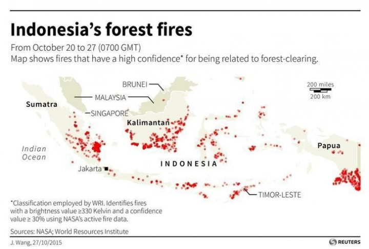 Indonesia forest fires are a leading environmental issue for the country.