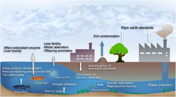 environmental impacts of rare earth metals.