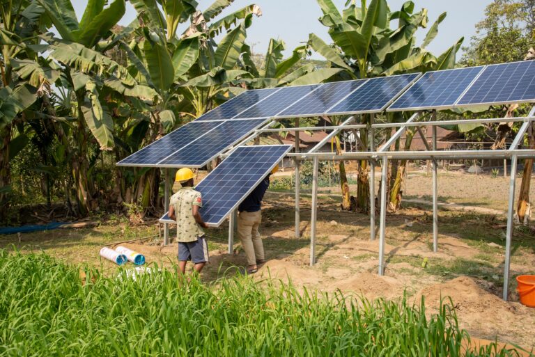 Environmental Issues In Indonesia