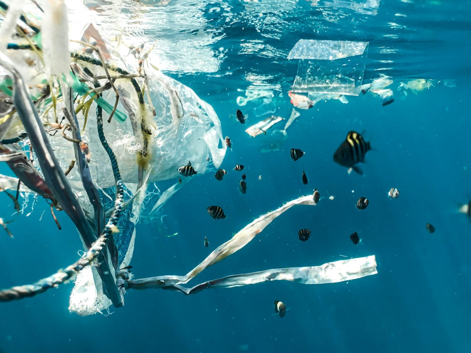 The World Has a Plastic Pollution Problem —And It's Getting Worse