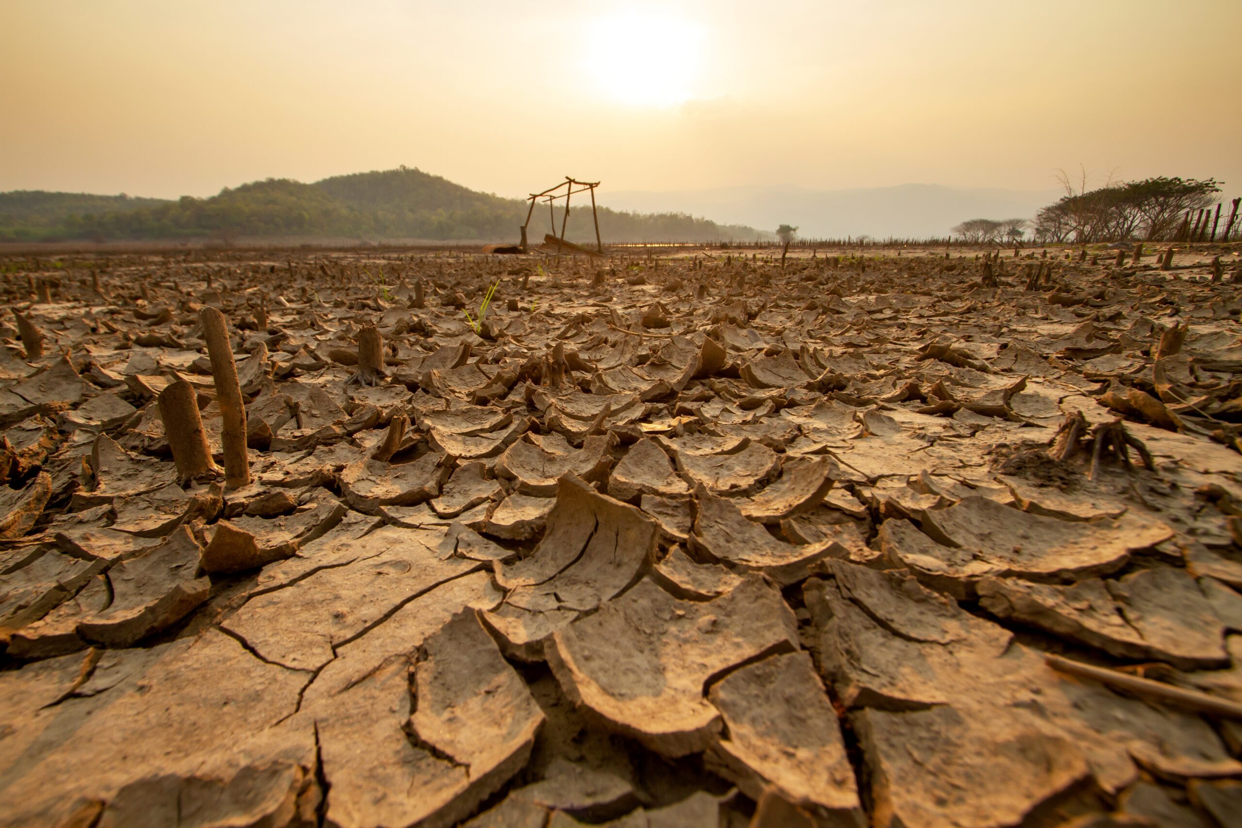 2024 Was the Hottest Year on Record: Climate Change in 2025