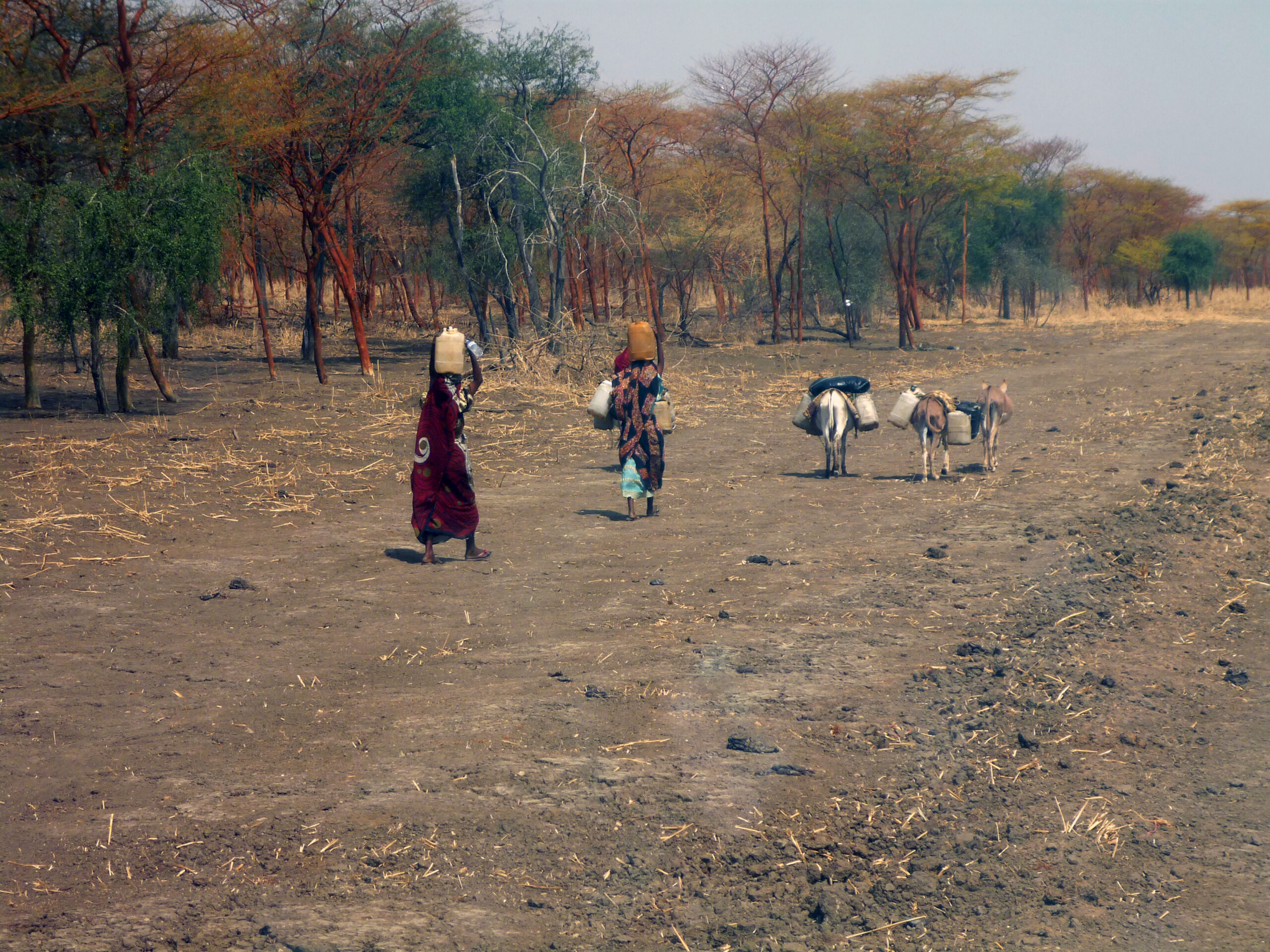 South Sudan Heatwave of 2025 Impacts Women and Children