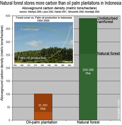 Carbon sequestration from palm oil  forests versus natural forests