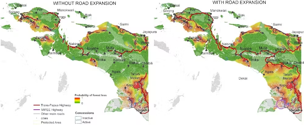 Estimated deforestation associated with the Trans-Papua Highway by 2036