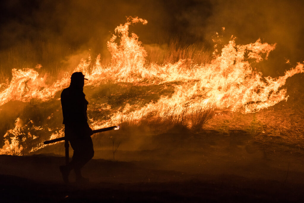 Climate Change Fuels Wildfires in Japan and South Korea 