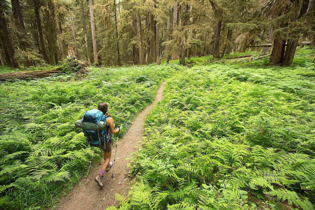 Ecotourism Examples Around the World: Best Destinations to Visit