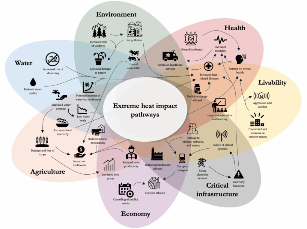 Interrelated and Compounding Impacts Resulting from Extreme Heat. Source: WWA