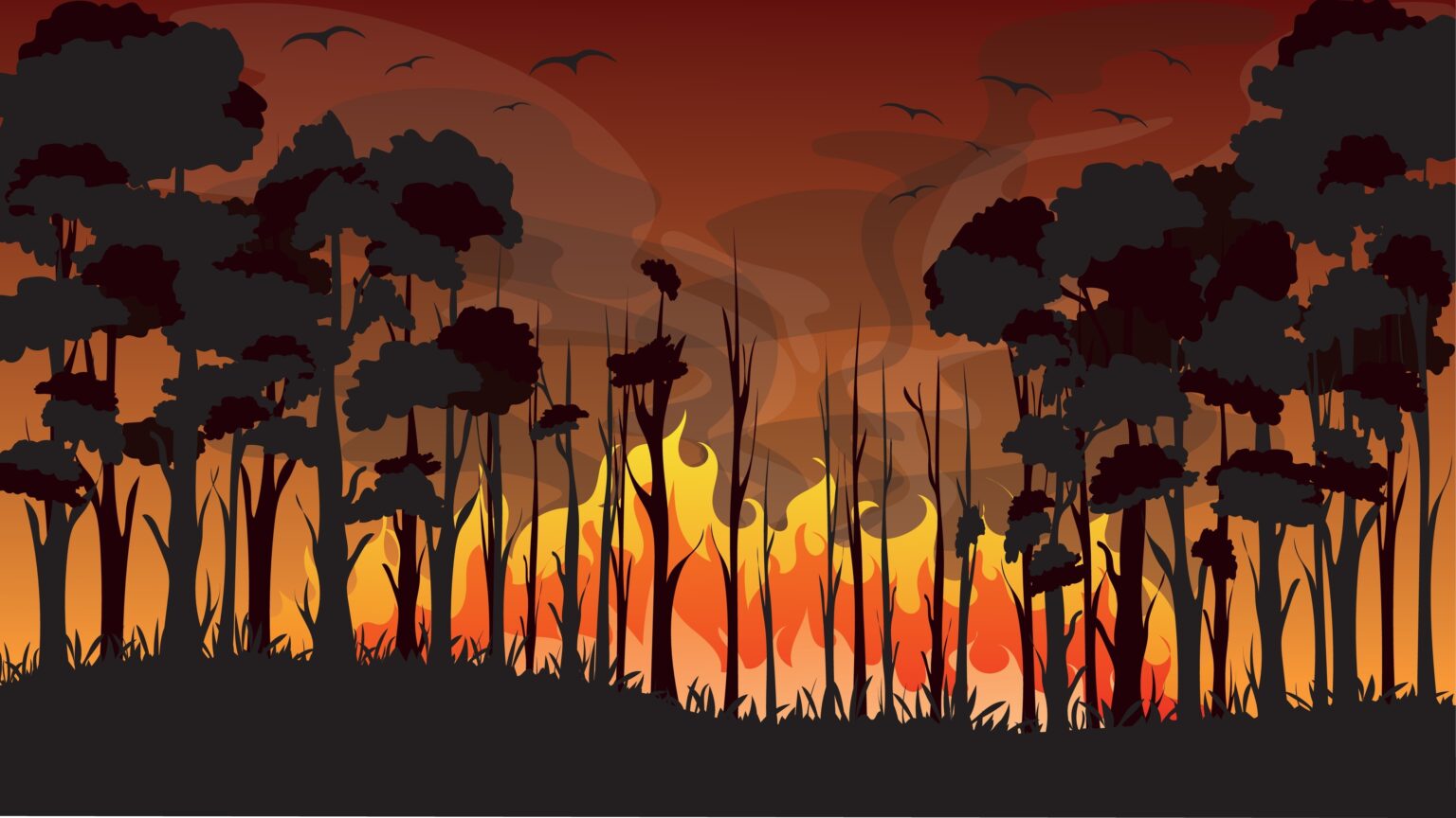 Environmental issues in australia an existential risk