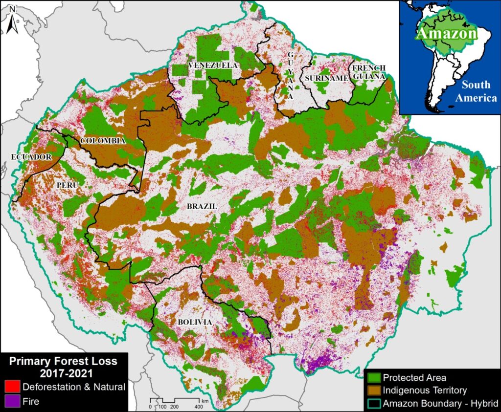 Amazon forest Indigenous territory vs. forest cover loss map