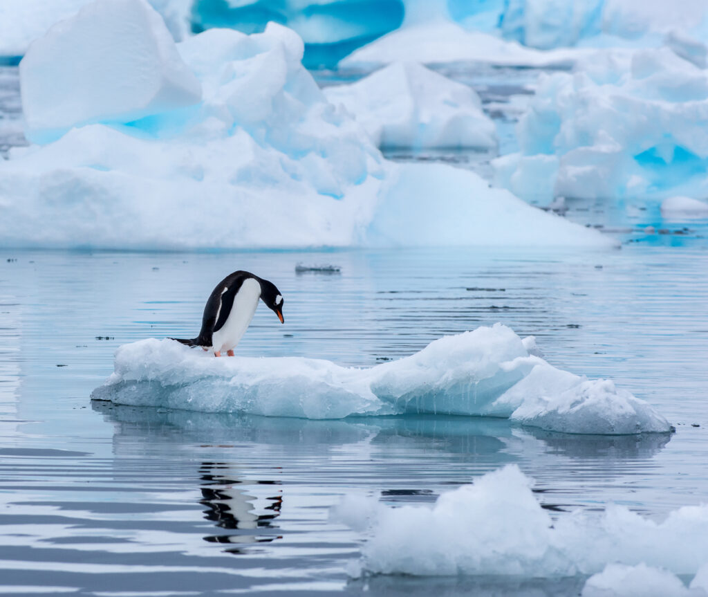 Where Does The World Stand On Climate Change Progress?