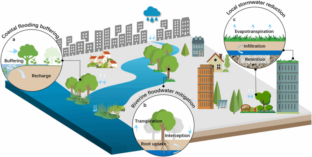Urban flood control strategies
