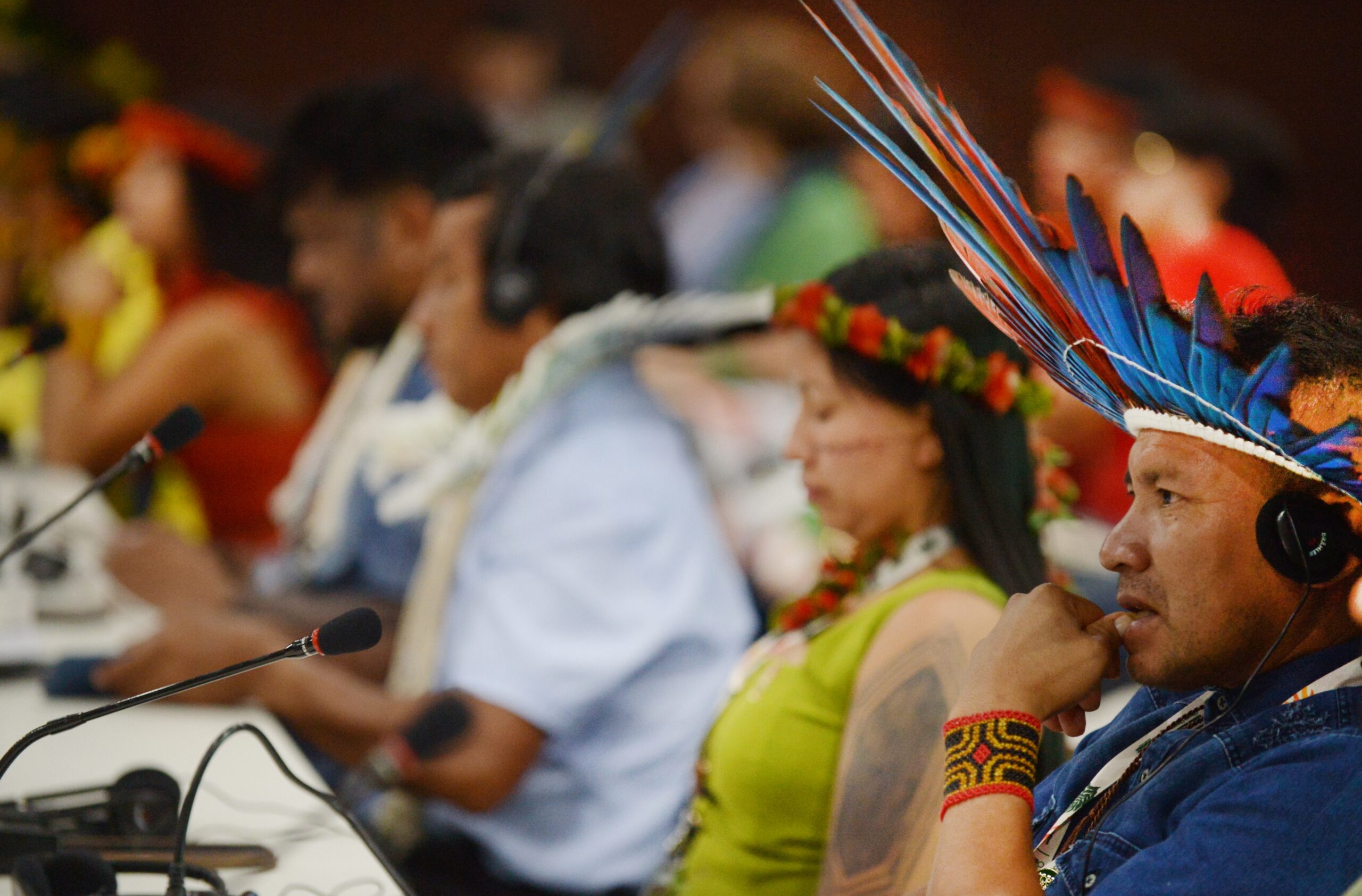 COP30: Indigenous Peoples’ Leadership Vital for a Just and Safe Climate Future