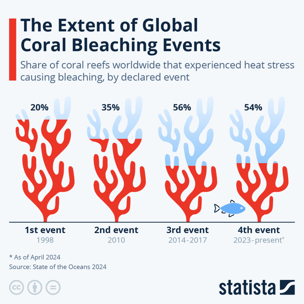 The increasing intensity of coral bleaching