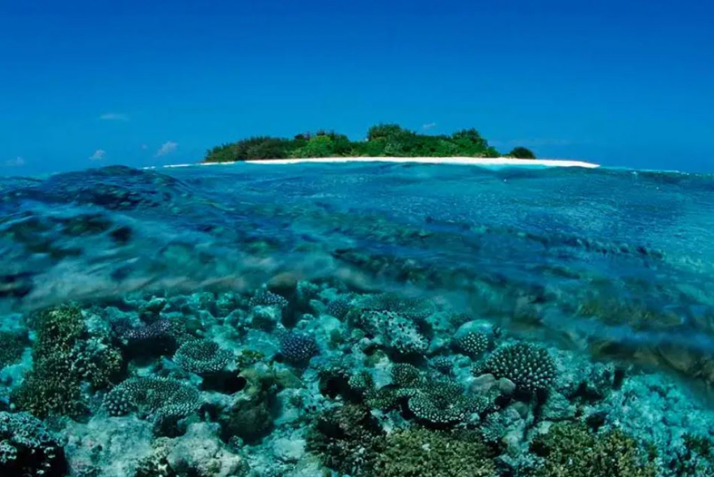 Are the Maldives Sinking? What the Measurements Say About Sea-level Rise